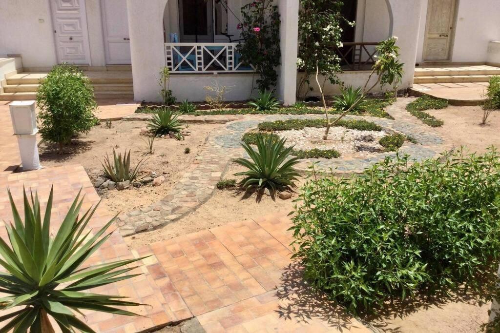 Beyt Alzohour - Casa Dei Fiori Apartment Dahab Bagian luar foto